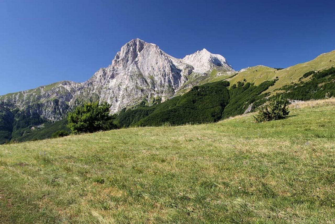 Complesso Turistico Aurora - Camere B&B Poggio Picenze Exteriör bild